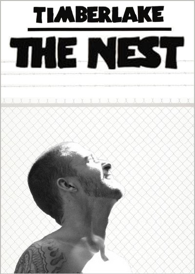 The Nest poster